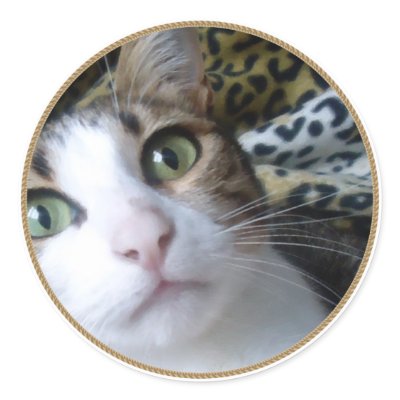 Cat Green Eyes - round sticker by silvianeto
