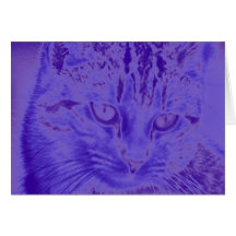 Cat Greeting Card