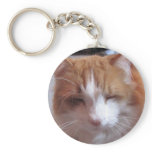 cat head keychains