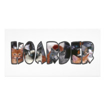Cat Hoarder