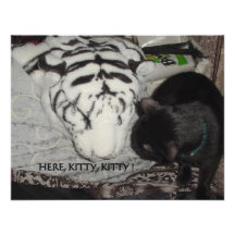 CAT HUMOR CUSTOM ANNOUNCEMENTS