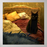 Cat II Print