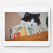 Cat in a Fruit Bowl Mousepad