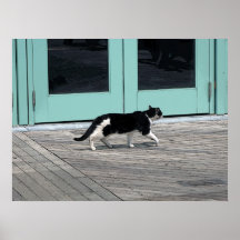 Cat in Asbury Park NJ Print