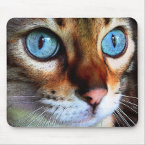 Cat in blue mousepad
