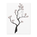 Cat in Cherry Blossom Tree Postcards