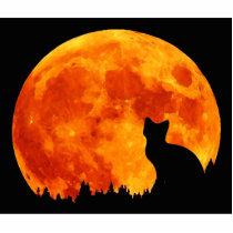 Cat in full orange Moon Cut Outs