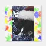 Cat in santa hat hiding in blue tinsel peering out refrigerator magnets