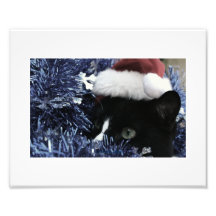 Cat in santa hat hiding in blue tinsel peering out photographic print