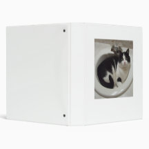 Cat in sink binder