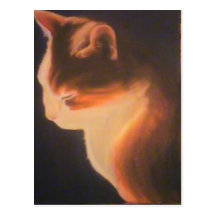 Cat in the dark post cards