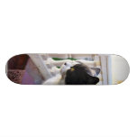 Cat In The Garden Custom Skate Board