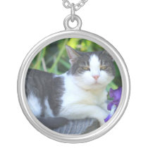 Cat in the garden