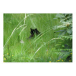 Cat In The Grass Business Card Template