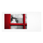 Cat in the window picture card
