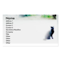 Cat in Veniza Business Cards