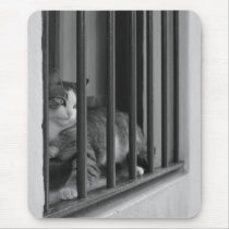 Cat in Window Mouse Pad