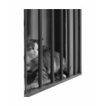 Cat in Window t-shirts
