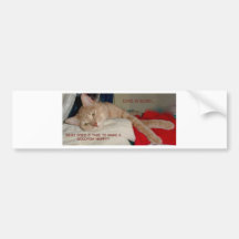 CAT JOKES BUMPER STICKER