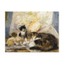 Cat & Kittens Asleep in the Artist's Studio Post Card
