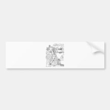 Cat Lady Bumper Stickers