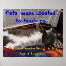 Cat Lesson Posters