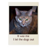 Cat Let The Dogs Out Business Cards