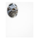 Cat Letterhead letterhead