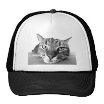 Cat look mesh hats