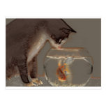 Cat Looking at Goldfish Bowl Postcard