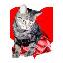 Cat "Love Bug" Valentine's Day postcard