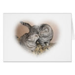 Cat love Greeting card cards