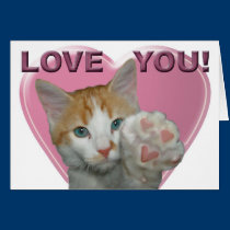 Cat Love You cards