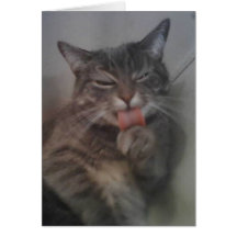 CAT LOVERS CARD