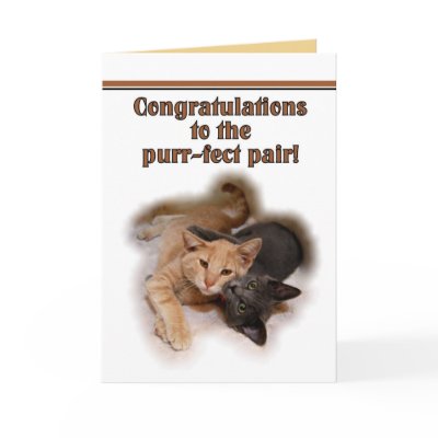 Cat Lovers Happy Anniversary  Card by Fuzzyball