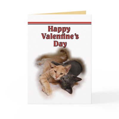 Cat Lovers Happy Valentine's Day  Card by Fuzzyball