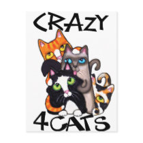 Cat Lover's Postcard