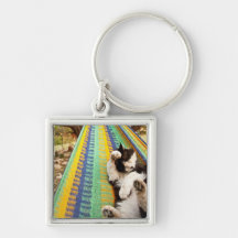 Cat lying in Mayan Mexican hammock Key Chains
