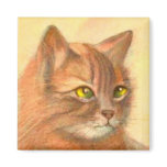 Cat magnets