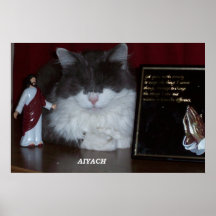 Cat Meditatiing  print or poster - Aiyach
