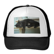 Cat Mesh Hats