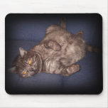 cat mouse pad mousepads
