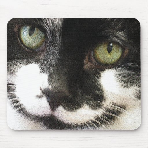 cat mousepad