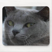 Cat Mousepad