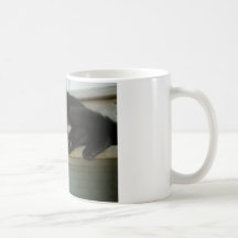 Cat Mugs