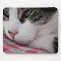 Cat 'n Mousepad
