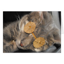 Cat Nap Card