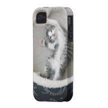 Cat Nap Case-Mate iPhone 4 Covers