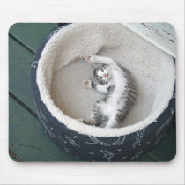 Cat Nap Mouse Mats