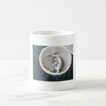 Cat Nap Mug